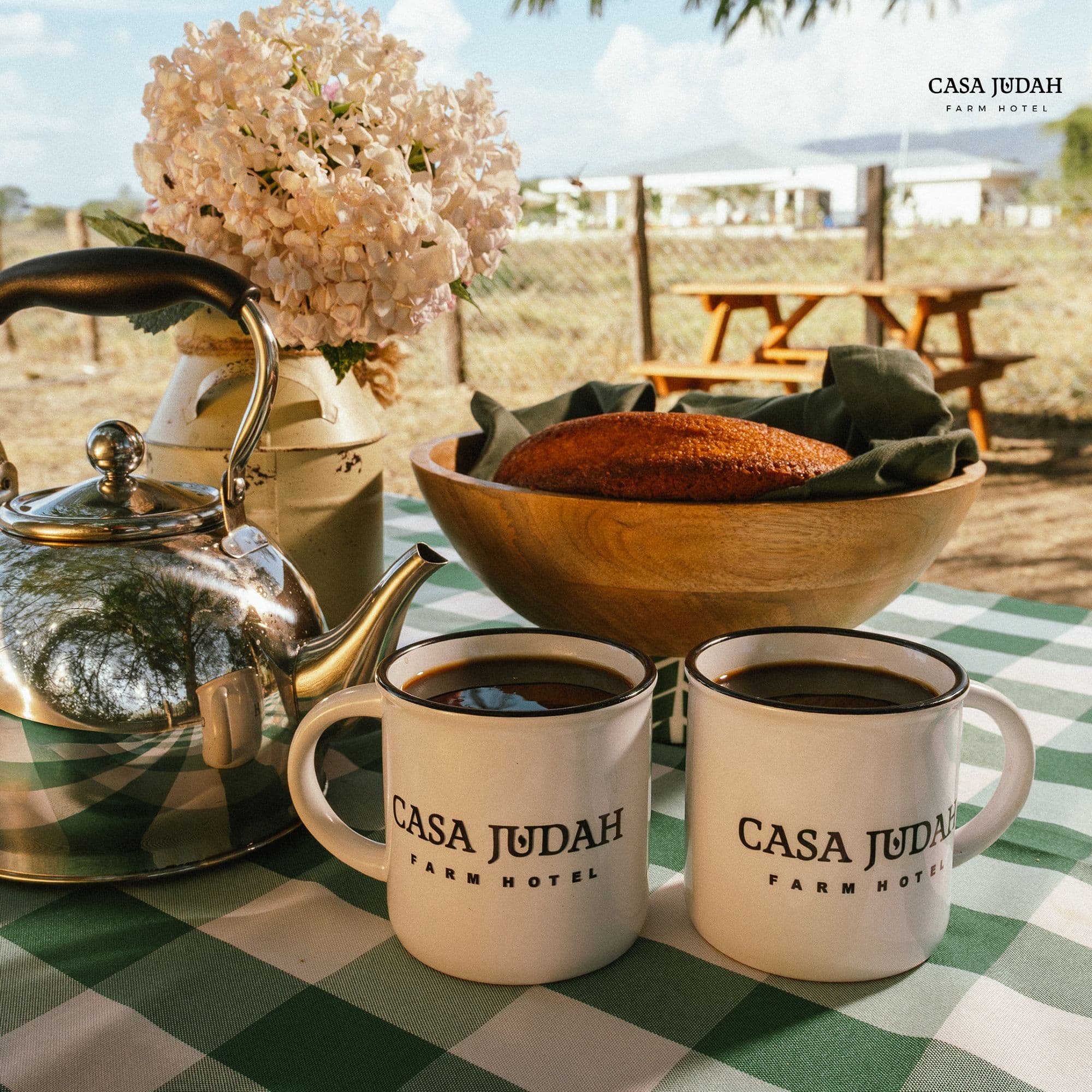 Café entre Ovejas 3